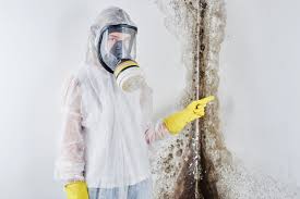 Best Mold Odor Removal Services in USA